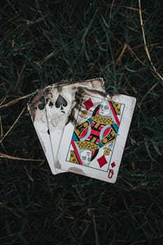 Toto21 No HK Cara Main Dan Tips