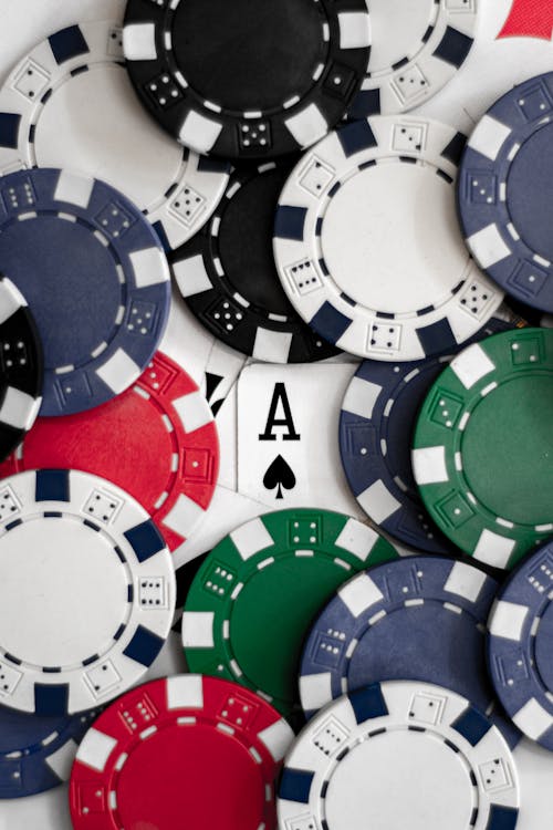 Toto21 No HK Cara Main Dan Tips